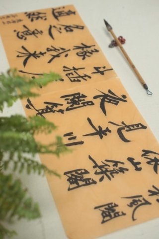 Chinese calligraphy, brush pen on mothwing paper