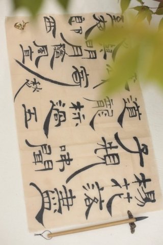 Chinese calligraphy, brush pen on mothwing paper