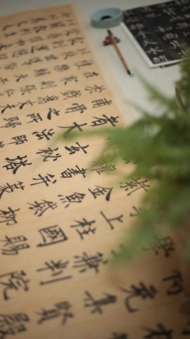 Chinese calligraphy, brush pen on mothwing paper