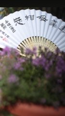 18D2314D-4A5F-496E-A90D-11E112B612A7