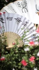 FBFE8D42-4FBF-4ED7-AD83-BE61BF6D8965